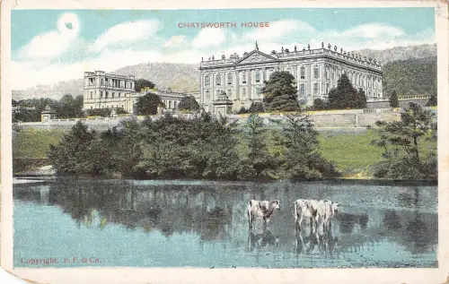 BR79970 Eckschnitt Chatsworth Haus Kuh Vache London UK