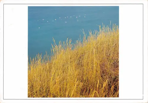 uk35503 ??? uk lot uk 2