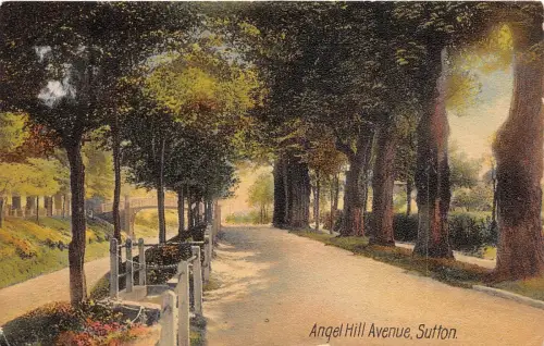 BR62567 angel hill avenue sutton uk