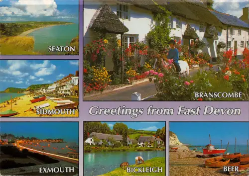 uk36176 greetings from east devon uk lot 5 uk