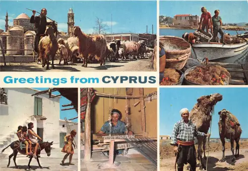 Lot 8 Zypern Grüße Angeln Reiten Esel Schafe Kamel Webstuhl Folklore Arten