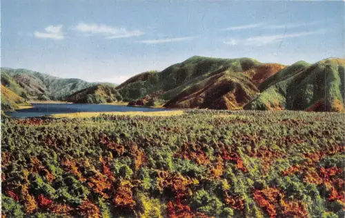 Lot 28 Japan Landschaft