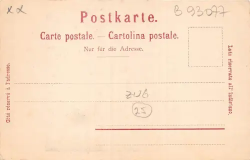 B93077 Die Burg in Zug Schweiz