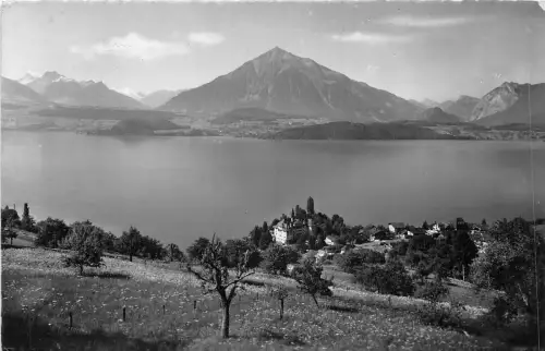 Lot 59 Echtfoto Schweiz Gunter und Thunersee Niesen