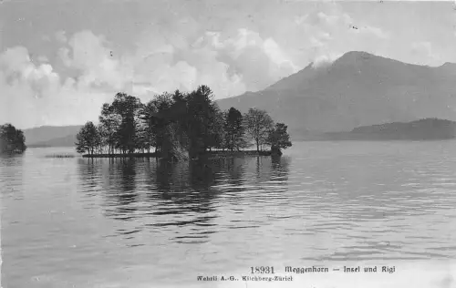 Lot 37 Meggenhorn Insel und Rigi Schloss Meggenhorn Schweiz