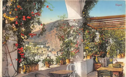 Lot 42 capri italy Blumenrestaurant