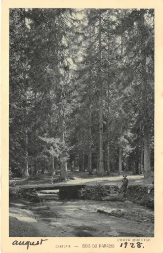 Lot 97 chamonix frankreich paradies holzfoto monnier