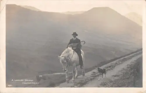 uk37734 lakeland shepherd real photo uk lot 13 uk horse dog