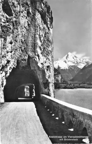 Lot 103 Echtfoto Axtstrasse am Luzerner See mit Bristenstock Schweiz