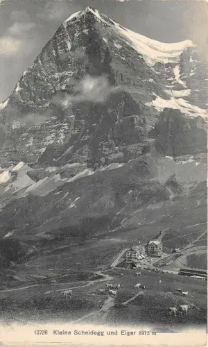 Lot 72 Schweiz kleine Scheidegg und Eigerkuh