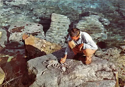 BF37576 Griechenland Fischer Geschäft Fischer Angeln Peche Sport