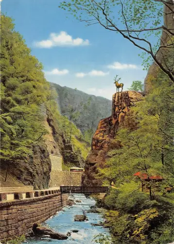 BG13291 hirschsprung im hollental schwarzwald germany