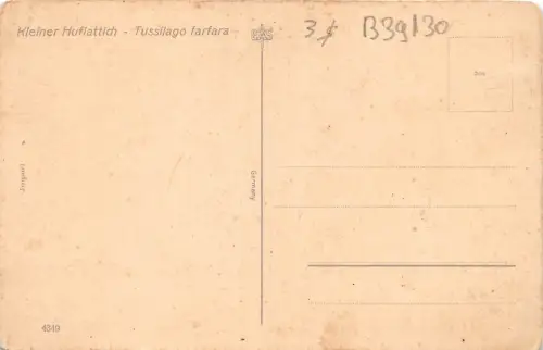 B39130 Fleurs Flower Germany