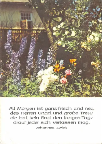 B34117 Blumen Fleurs Germany
