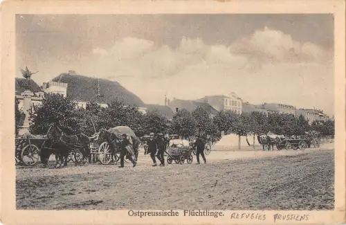 BR57893 St Quirin ostpreußische fluchtlinge refugies preußiens horse Germany