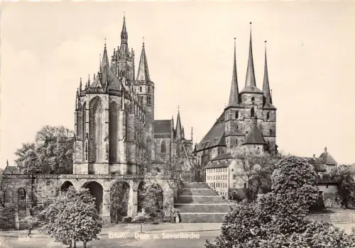 B31839 Dom Erfurt Deutschland