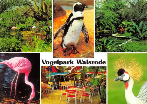 B36768 Tiere Animaux Volgelpark Walsrode Germany