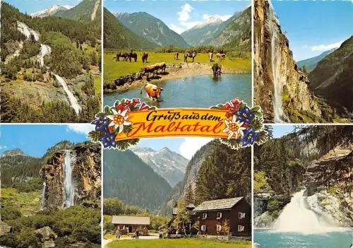 BG11772 maltatal tal der sturzenden wasser cow vache österreich