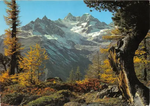 BR14371 Obergabethorn und Wellenkuppe bei Zermatt Schweiz