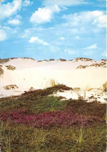 B35902 Sylt Insel Nordsee Deutschland