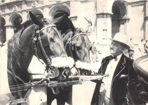 B70327 Tiere Animaux Pferde Chevaux Wien Österreich