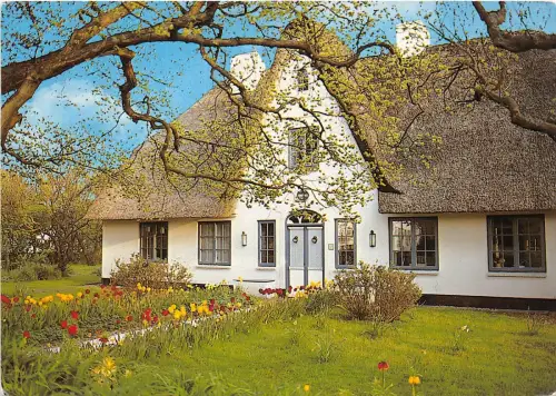 B36096 Friesenhaus im Fruhling germany