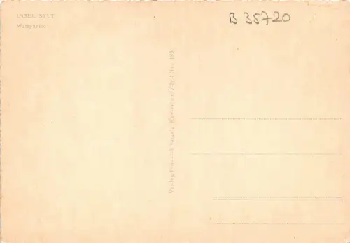 B35720 Insel Sylt Wattpartie Germany