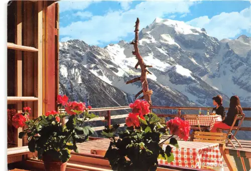 BG13628 der ortler l ortles visto del rif forcola sopra trafoi italy