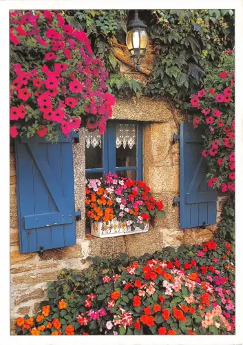B50005 Blumen Fleurs Quand la fleur deborde le volet reste ouvert france