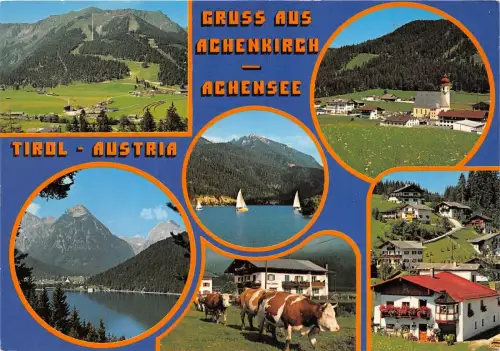 BG11751 Kuhvache achenkirch achensee tirol Multi Views Österreich