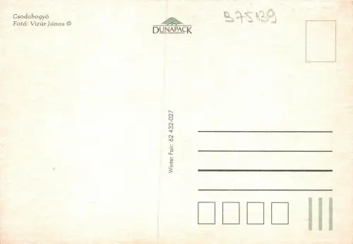 B75139 csodabogyo Blumen fleur