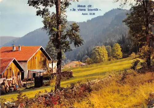 B50649 Les Vosges Frankreich