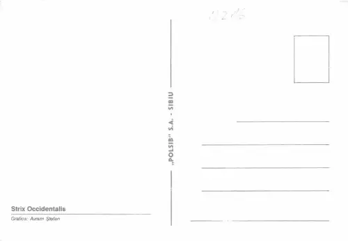 B0216 Tiere Eule Strix Occidentalis Front/Back Scan