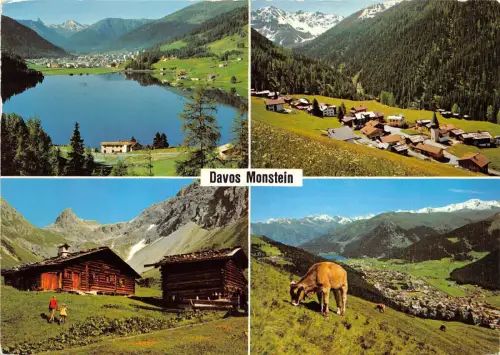 BR2572 Suisse Davos vache Kuh Multiviews Schweiz