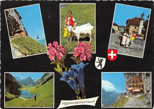 B31784 Appenzellerland Multi Vues Schweiz