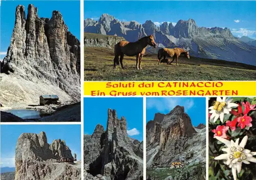 BG17856 Pferd Saluti Dal Rosengarten Rosengarten Italien