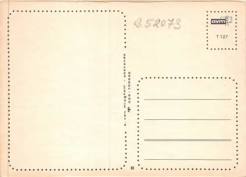 B52073 Fleurs Flowers