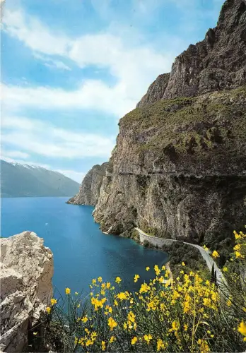 B33805 Lago di Garda Italien