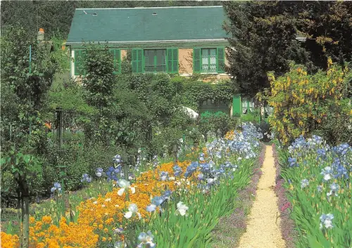 B51909 Fleures Flowers