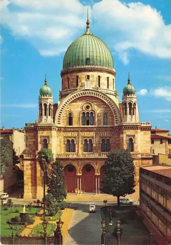 BR23099 Firenze La Sinagoga italy