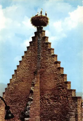 BR3432 Nid de Cignognes Osthelm Schocktiere Animaux France