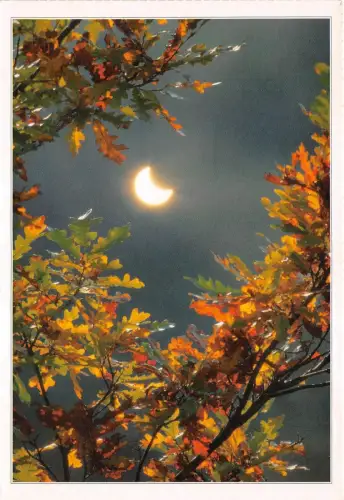 B30809 Blumen Napfogyatkozas Ungarn