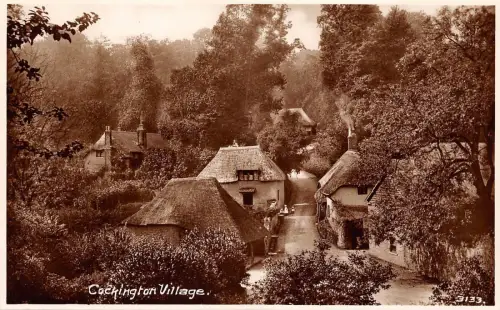 BR64257 Cockington Village Echtfoto UK