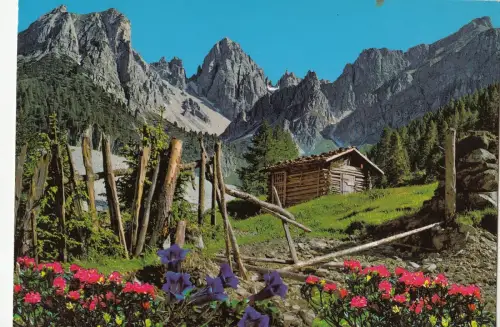 BF24965 Kizell Österreich Vorder-/Rückbild