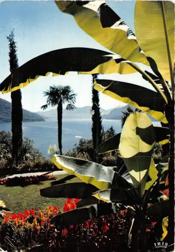 B53591 Brissago Parco dell Hotel Brenscio Schweiz