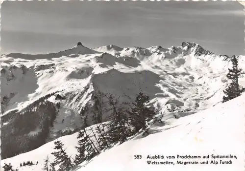 B47999 Spitzmeilen Weissmeilen Magerrain Alp Fursch Schweiz