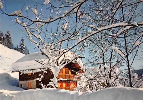 BR1061 Neige et Soleil Le chalet sous niege france