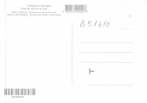 B51610 Tempete en Bretagne Frankreich
