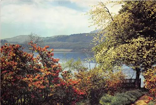 B86875 coniston water lancashire uk