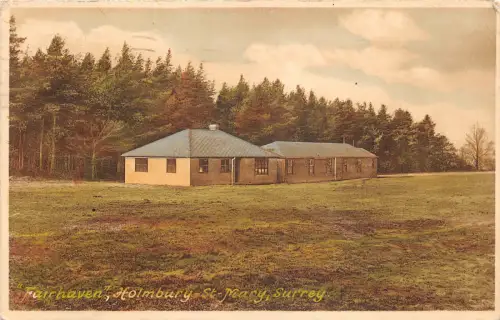 br107793 fairhaven holmbury st mary surrey uk